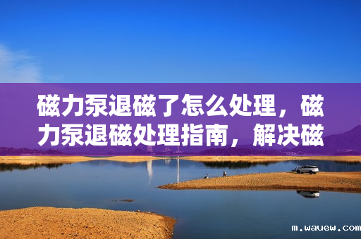 磁力泵退磁了怎么处理,磁力泵退磁处理指南,解决磁力泵退磁问题的方法 磁力泵退磁了怎么处理,磁力泵退磁处理指南,解决磁力泵退磁问题的方法