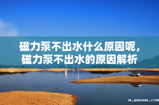 磁力泵不出水什么原因呢,磁力泵不出水的原因解析 磁力泵不出水什么原因呢,磁力泵不出水的原因解析