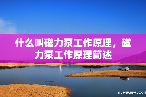 什么叫磁力泵工作原理,磁力泵工作原理简述 什么叫磁力泵工作原理,磁力泵工作原理简述