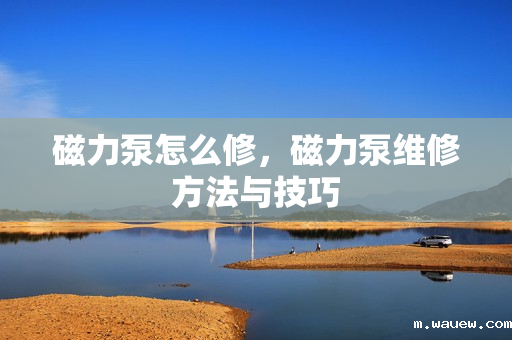 磁力泵怎么修,磁力泵维修方法与技巧 磁力泵怎么修,磁力泵维修方法与技巧