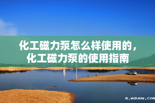 化工磁力泵怎么样使用的,化工磁力泵的使用指南 化工磁力泵怎么样使用的,化工磁力泵的使用指南