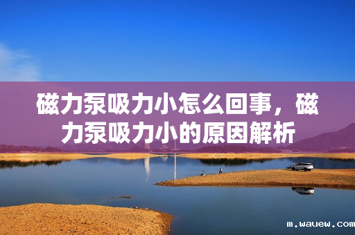 磁力泵吸力小怎么回事,磁力泵吸力小的原因解析 磁力泵吸力小怎么回事,磁力泵吸力小的原因解析