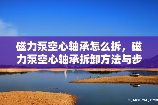 磁力泵空心轴承怎么拆,磁力泵空心轴承拆卸方法与步骤 磁力泵空心轴承怎么拆,磁力泵空心轴承拆卸方法与步骤