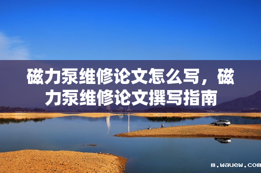 磁力泵维修论文怎么写,磁力泵维修论文撰写指南 磁力泵维修论文怎么写,磁力泵维修论文撰写指南