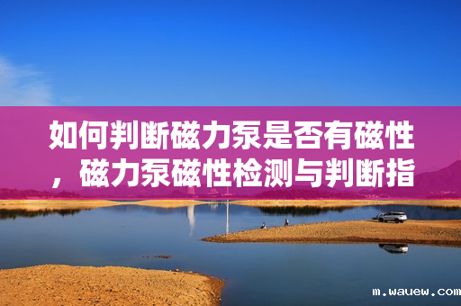 如何判断磁力泵是否有磁性,磁力泵磁性检测与判断指南 如何判断磁力泵是否有磁性,磁力泵磁性检测与判断指南