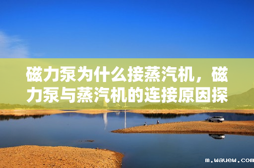 磁力泵为什么接蒸汽机,磁力泵与蒸汽机的连接原因探究 磁力泵为什么接蒸汽机,磁力泵与蒸汽机的连接原因探究