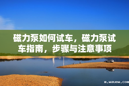 磁力泵如何试车,磁力泵试车指南,步骤与注意事项 磁力泵如何试车,磁力泵试车指南,步骤与注意事项
