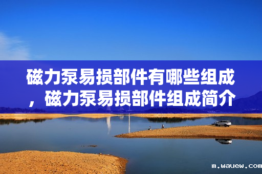 磁力泵易损部件有哪些组成,磁力泵易损部件组成简介 磁力泵易损部件有哪些组成,磁力泵易损部件组成简介