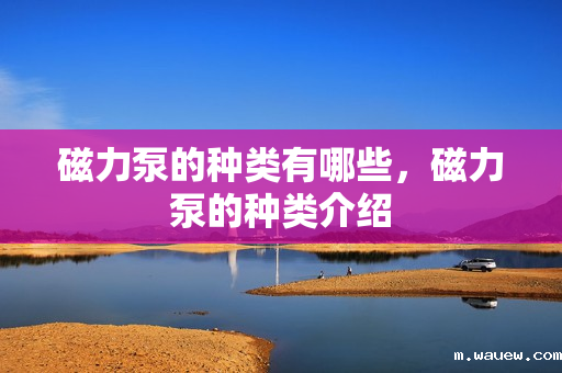 磁力泵的种类有哪些,磁力泵的种类介绍 磁力泵的种类有哪些,磁力泵的种类介绍