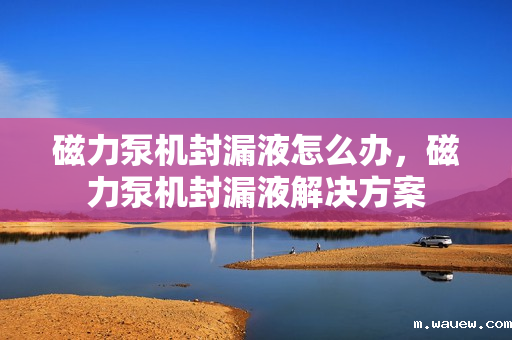 磁力泵机封漏液怎么办,磁力泵机封漏液解决方案 磁力泵机封漏液怎么办,磁力泵机封漏液解决方案