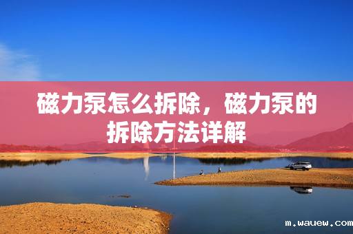 磁力泵怎么拆除,磁力泵的拆除方法详解 磁力泵怎么拆除,磁力泵的拆除方法详解