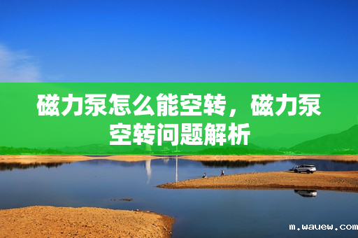 磁力泵怎么能空转,磁力泵空转问题解析 磁力泵怎么能空转,磁力泵空转问题解析