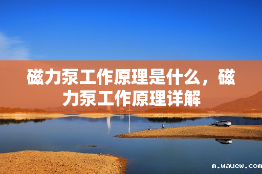 磁力泵工作原理是什么,磁力泵工作原理详解 磁力泵工作原理是什么,磁力泵工作原理详解