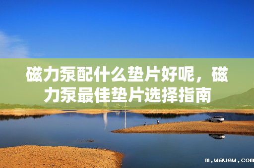 磁力泵配什么垫片好呢,磁力泵最佳垫片选择指南 磁力泵配什么垫片好呢,磁力泵最佳垫片选择指南