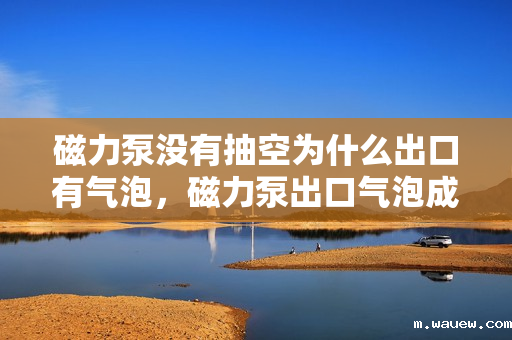 磁力泵没有抽空为什么出口有气泡,磁力泵出口气泡成因解析,非抽空状态下为何仍有气泡? 磁力泵没有抽空为什么出口有气泡,磁力泵出口气泡成因解析,非抽空状态下为何仍有气泡?