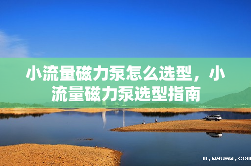小流量磁力泵怎么选型,小流量磁力泵选型指南 小流量磁力泵怎么选型,小流量磁力泵选型指南