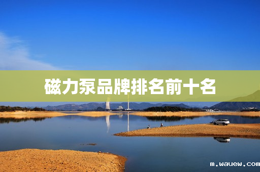 磁力泵品牌排名前十名 磁力泵品牌排名前十名