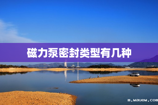 磁力泵密封类型有几种 磁力泵密封类型有几种