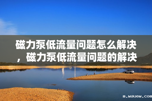 磁力泵低流量问题怎么解决,磁力泵低流量问题的解决方案 磁力泵低流量问题怎么解决,磁力泵低流量问题的解决方案