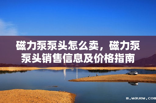 磁力泵泵头怎么卖,磁力泵泵头销售信息及价格指南 磁力泵泵头怎么卖,磁力泵泵头销售信息及价格指南