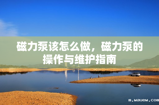 磁力泵该怎么做,磁力泵的操作与维护指南 磁力泵该怎么做,磁力泵的操作与维护指南