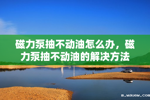 磁力泵抽不动油怎么办,磁力泵抽不动油的解决方法 磁力泵抽不动油怎么办,磁力泵抽不动油的解决方法