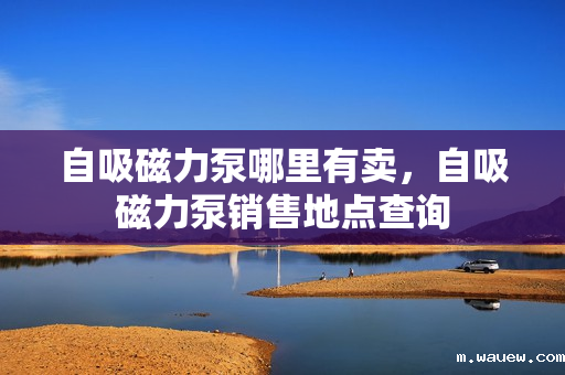 自吸磁力泵哪里有卖,自吸磁力泵销售地点查询 自吸磁力泵哪里有卖,自吸磁力泵销售地点查询