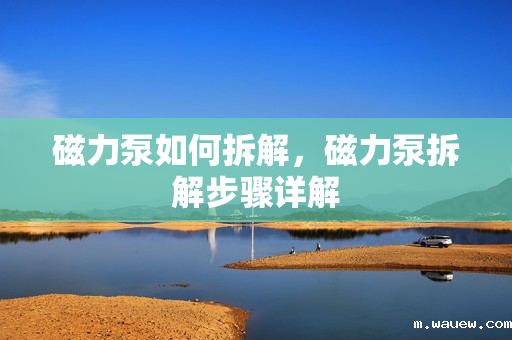 磁力泵如何拆解,磁力泵拆解步骤详解 磁力泵如何拆解,磁力泵拆解步骤详解