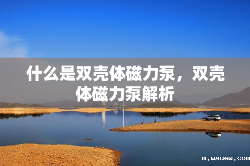 什么是双壳体磁力泵,双壳体磁力泵解析 什么是双壳体磁力泵,双壳体磁力泵解析