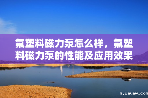 氟塑料磁力泵怎么样,氟塑料磁力泵的性能及应用效果评析 氟塑料磁力泵怎么样,氟塑料磁力泵的性能及应用效果评析