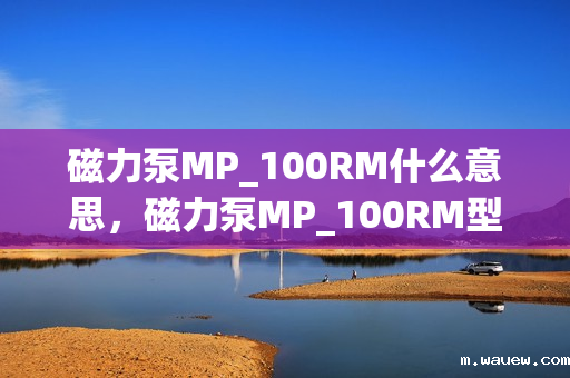 磁力泵MP_100RM什么意思,磁力泵MP_100RM型号解读及其特点 磁力泵MP_100RM什么意思,磁力泵MP_100RM型号解读及其特点