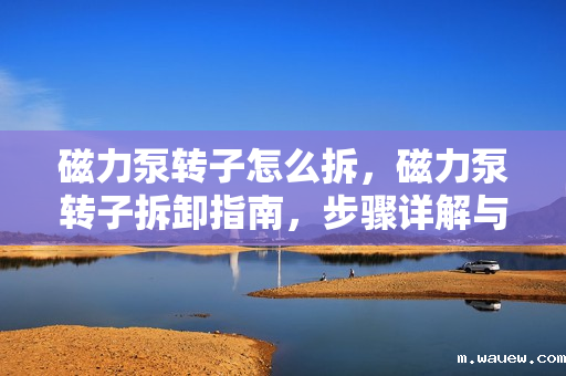 磁力泵转子怎么拆,磁力泵转子拆卸指南,步骤详解与注意事项 磁力泵转子怎么拆,磁力泵转子拆卸指南,步骤详解与注意事项