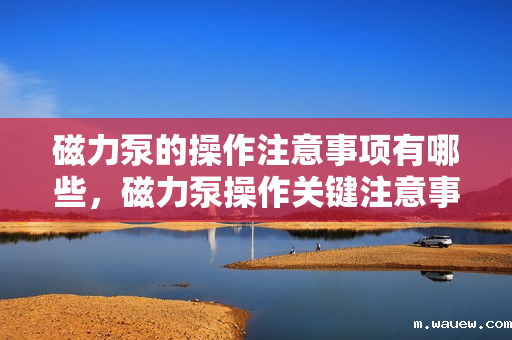 磁力泵的操作注意事项有哪些,磁力泵操作关键注意事项解析 磁力泵的操作注意事项有哪些,磁力泵操作关键注意事项解析