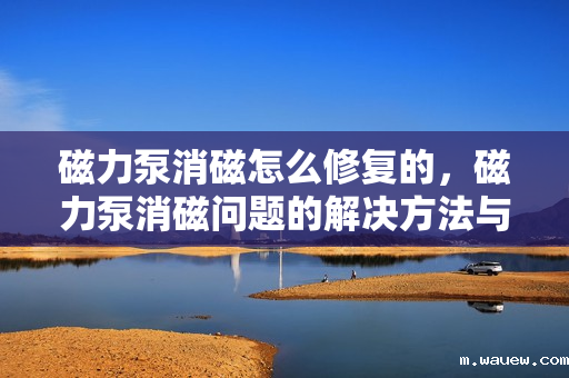 磁力泵消磁怎么修复的,磁力泵消磁问题的解决方法与修复技巧 磁力泵消磁怎么修复的,磁力泵消磁问题的解决方法与修复技巧