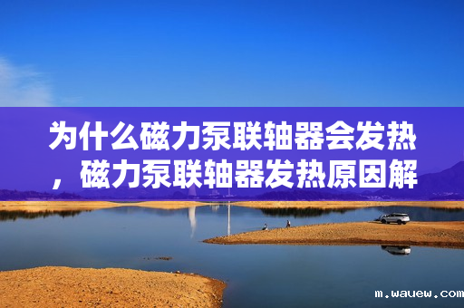 为什么磁力泵联轴器会发热,磁力泵联轴器发热原因解析 为什么磁力泵联轴器会发热,磁力泵联轴器发热原因解析