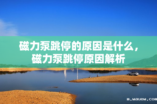 磁力泵跳停的原因是什么,磁力泵跳停原因解析 磁力泵跳停的原因是什么,磁力泵跳停原因解析