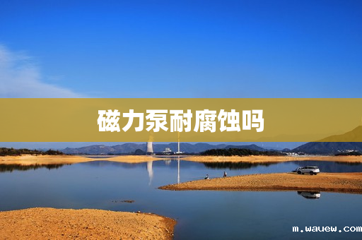 磁力泵耐腐蚀吗 磁力泵耐腐蚀吗