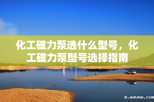 化工磁力泵选什么型号,化工磁力泵型号选择指南 化工磁力泵选什么型号,化工磁力泵型号选择指南