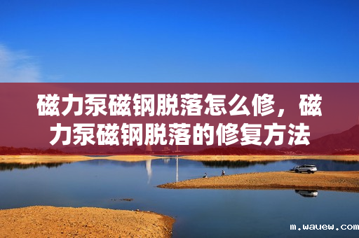 磁力泵磁钢脱落怎么修,磁力泵磁钢脱落的修复方法 磁力泵磁钢脱落怎么修,磁力泵磁钢脱落的修复方法