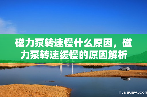 磁力泵转速慢什么原因,磁力泵转速缓慢的原因解析 磁力泵转速慢什么原因,磁力泵转速缓慢的原因解析