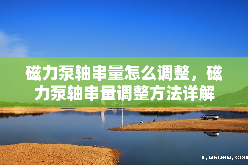 磁力泵轴串量怎么调整,磁力泵轴串量调整方法详解 磁力泵轴串量怎么调整,磁力泵轴串量调整方法详解