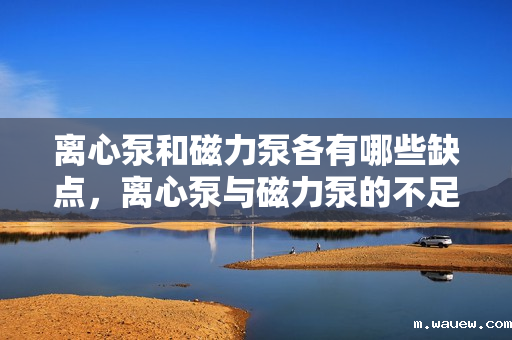 离心泵和磁力泵各有哪些缺点,离心泵与磁力泵的不足之处对比 离心泵和磁力泵各有哪些缺点,离心泵与磁力泵的不足之处对比