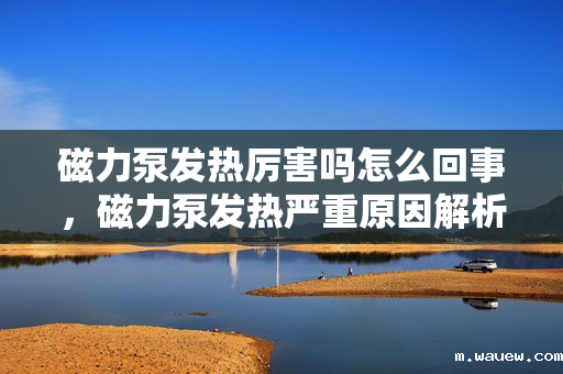 磁力泵发热厉害吗怎么回事,磁力泵发热严重原因解析及解决方法 磁力泵发热厉害吗怎么回事,磁力泵发热严重原因解析及解决方法