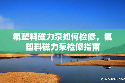 氟塑料磁力泵如何检修,氟塑料磁力泵检修指南 氟塑料磁力泵如何检修,氟塑料磁力泵检修指南