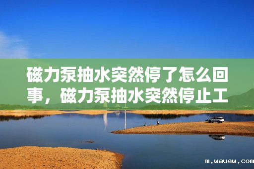磁力泵抽水突然停了怎么回事,磁力泵抽水突然停止工作的可能原因及解决方法 磁力泵抽水突然停了怎么回事,磁力泵抽水突然停止工作的可能原因及解决方法