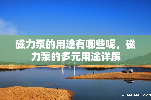 磁力泵的用途有哪些呢,磁力泵的多元用途详解 磁力泵的用途有哪些呢,磁力泵的多元用途详解