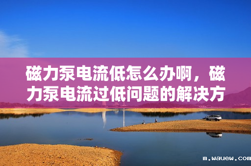 磁力泵电流低怎么办啊,磁力泵电流过低问题的解决方法 磁力泵电流低怎么办啊,磁力泵电流过低问题的解决方法