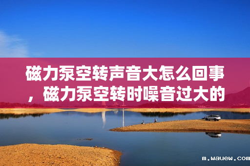 磁力泵空转声音大怎么回事,磁力泵空转时噪音过大的原因及解决方法 磁力泵空转声音大怎么回事,磁力泵空转时噪音过大的原因及解决方法