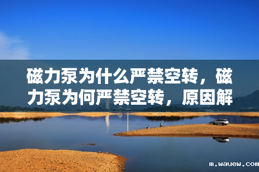 磁力泵为什么严禁空转,磁力泵为何严禁空转,原因解析与风险防范 磁力泵为什么严禁空转,磁力泵为何严禁空转,原因解析与风险防范