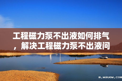 工程磁力泵不出液如何排气,解决工程磁力泵不出液问题,有效排气方法指南 工程磁力泵不出液如何排气,解决工程磁力泵不出液问题,有效排气方法指南